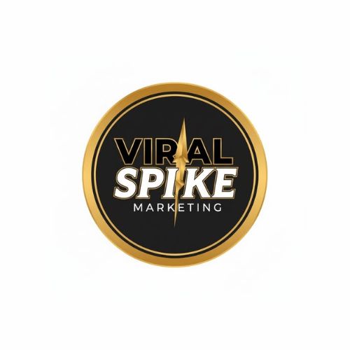Professional Ad Campaign Management Services |  Viral Spike Marketing